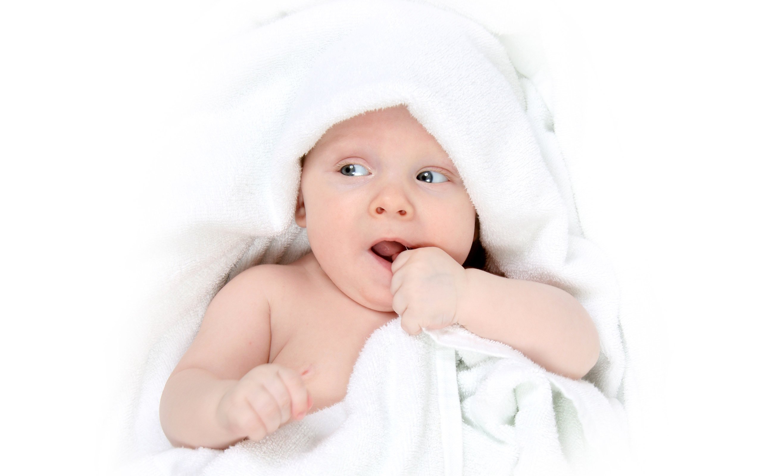 杭州正规捐卵机构试管婴儿着床成功率